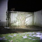 turbo -outdoors- @12 ft