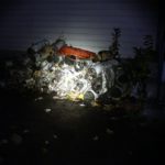 Zanflare F1 on low mode