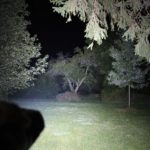 Manker MK34 on turbo