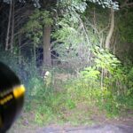 Sofirn Q8 Pro on high